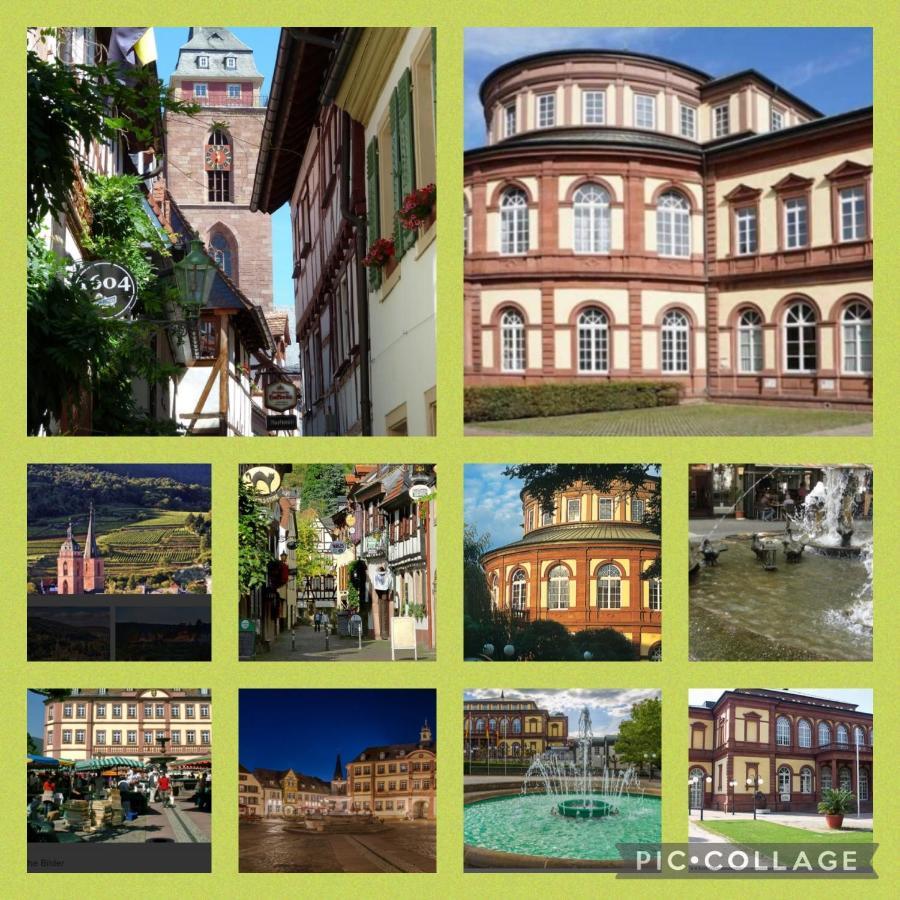 Ferienhaus Heil Neustadt an der Weinstraße エクステリア 写真